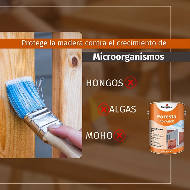 IMPREGNANTE MADERAS 3 EN 1 INCOLORO BRILLANTE 1LT